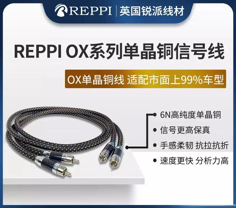 優先配送 REPPI 左半边身体和右半边身体在短时间内受到一个不均匀的